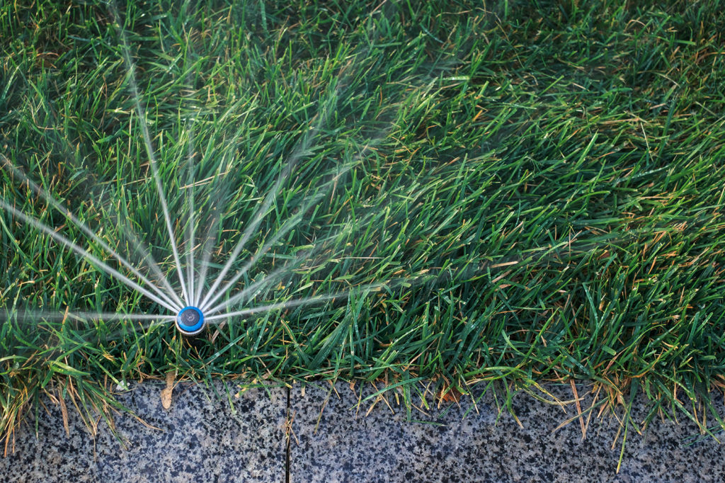 irrigation installation Sutherland Shire - spray / sprinkler irrigation